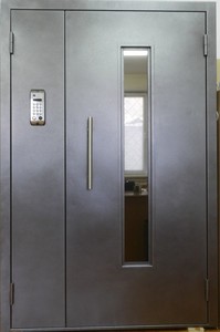 Домофонная дверь "Зион 6"