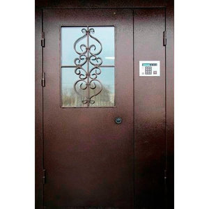 Домофонная дверь "Зион 4"